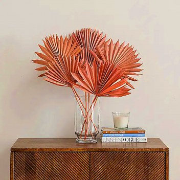 ideatree, sušené kvety, sušený list, palma, palmový list, hygge, boho dekorácie, domácnosť, nové mesto nad váhom