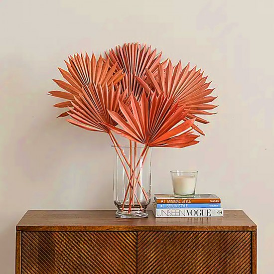 ideatree, sušené kvety, sušený list, palma, palmový list, hygge, boho dekorácie, domácnosť, nové mesto nad váhom